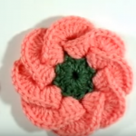 Multi Petal 3 D Crochet Flower