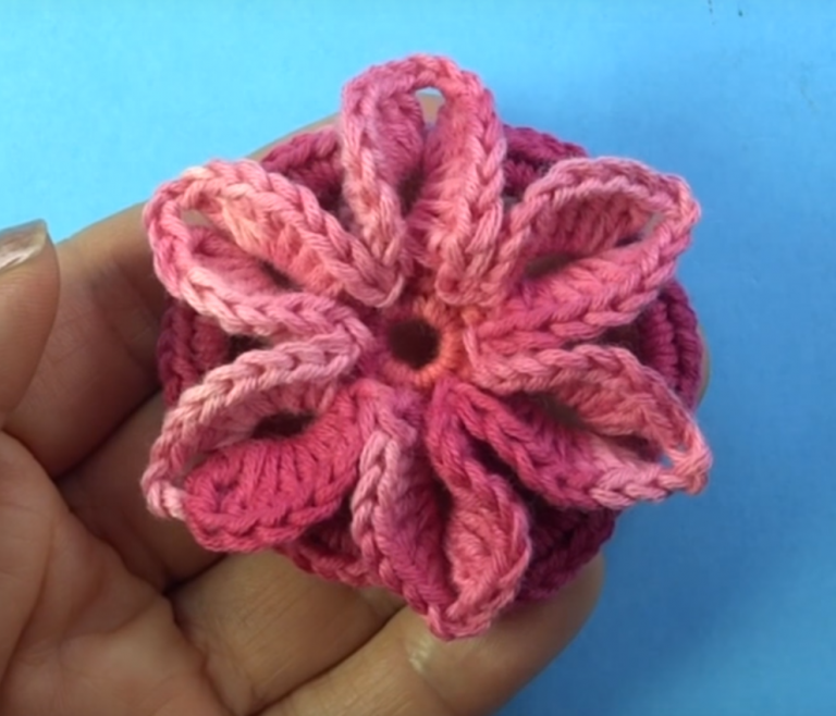 Crochet 6 Petal Flower Crochet Ideas