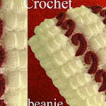 Crochet 3D Beanie Hat