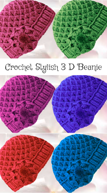 crochet stylish 3d beanie