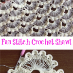 Fan Stitch Crochet Shawl