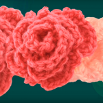 Crochet Headband With 3D Rose Flowers