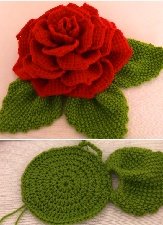 crochet 3 d flower with leaves