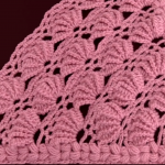 Crochet Fan Shell Stitch Shawl