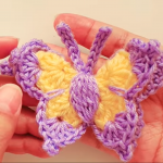 Crochet Lovely 3 D Butterfly Applique