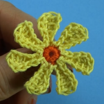 Quick And Easy Chamomile Flower
