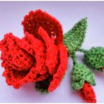 Crochet Rose And Flower Buds