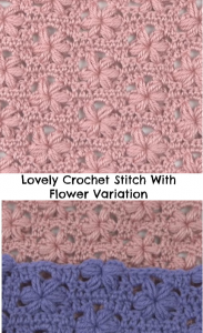 Lovely Crochet Stitch With Flower Variation - Crochet Ideas