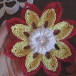 Crochet Flower 3D