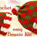 3D Crochet Beanie Hat