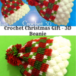 Crochet Christmas Gift – 3D Beanie