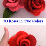 3D Roses In Two Colors
