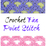 Crochet Fan Point Stitch
