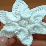 Crochet Beautiful Flower Instruction