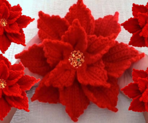 Crochet Poinsettia Flower With A Single Strap